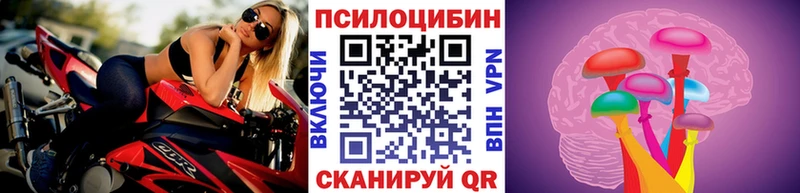 закладка Пролетарск Галлюциногенные грибы Magic Shrooms